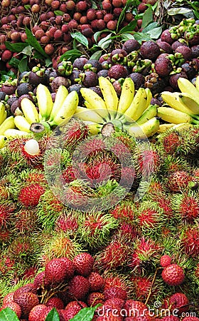 Fruits Mixture Stock Photo