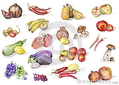 Watercolor fruits and vegetables set Cartoon Illustration