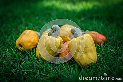 Fruits & Nuts Stock Photo