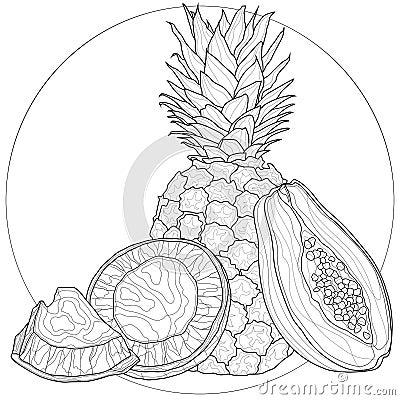 Fruits. Pineapple, papaya and coconut.Coloring book antistress for children and adults Stock Photo