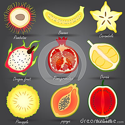Fruits set Vector Illustration