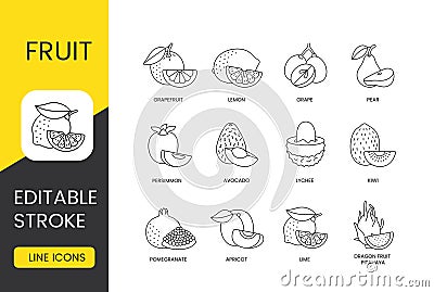 Fruits set line icons in vector, editable stroke. Dragon fruit or pitahaya, lime and apricot, pomegranate and kiwi Vector Illustration