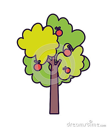 Fruits tree apples harvest farm icon Vector Illustration