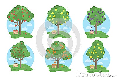 Fruits trees set. Vector Illustration