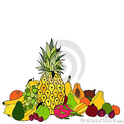 Fruits. Vector illustration. Cartoon Illustration