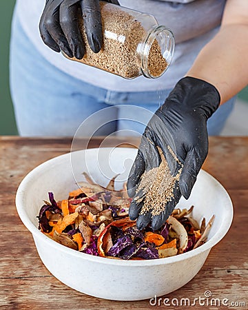 Fruits and vegetable scraps for compost recycling Stock Photo