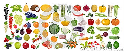 Fruits and vegetables. Vector Illustration