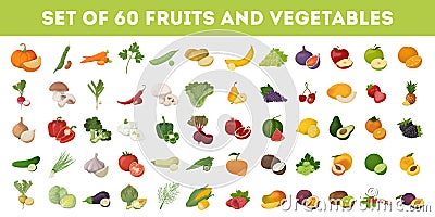 Fruits and vegetables. Vector Illustration