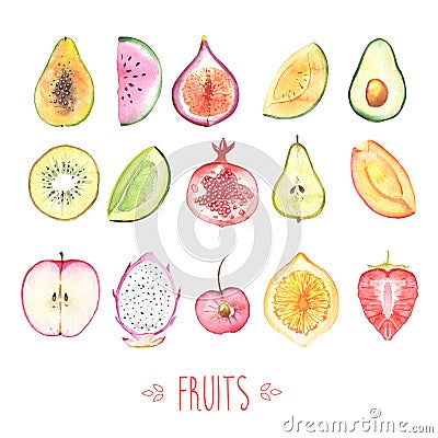 Fruits Cartoon Illustration