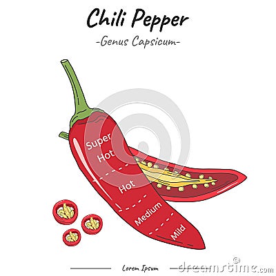 Frutipedia Chili pepper Flavour zones illustration vector Vector Illustration