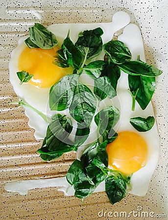 fry eggs with basil Stock Photo