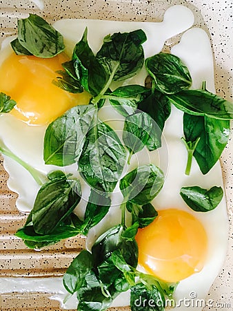 fry eggs with basil Stock Photo