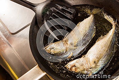 Frying fresh Mackerels in a pan Stock Photo
