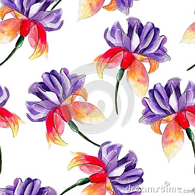 Fuchsia flower watercolor seamless pattern. Bright tropical flowers isolated on white background. Stock Photo
