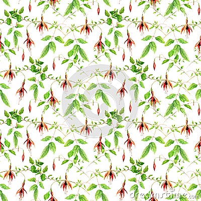 Fuchsia flowers. Seamless floral pattern. Watercolor Stock Photo