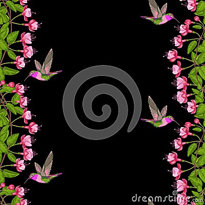 Fuchsia and Hummingbird Seamless Border Vector Illustration