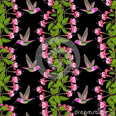 Fuchsia and Hummingbird Seamless Pattern Vector Illustration