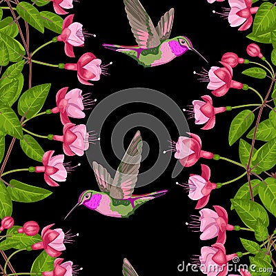 Fuchsia and Hummingbird Seamless Pattern Vector Illustration