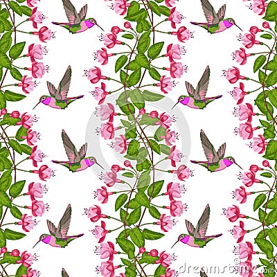 Fuchsia and Hummingbird Seamless Pattern Vector Illustration