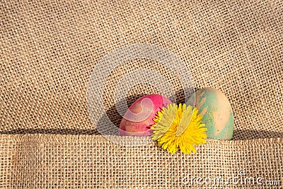 Delicate springtime colours. Stock Photo