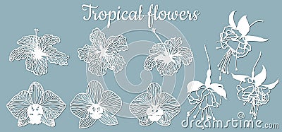 Fuchsia, Orchid, hibiscus. Vector illustration. Set of paper flower, stickers. Laser cut. Set template for laser cutting and Vector Illustration