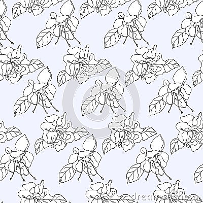Fuchsia pattern Vector Illustration