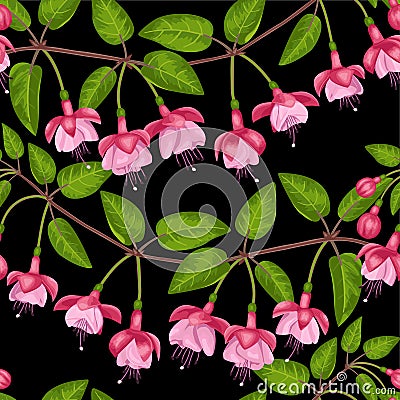 Fuchsia Seamless Pattern Vector Illustration