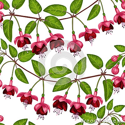 Fuchsia Seamless Pattern Vector Illustration