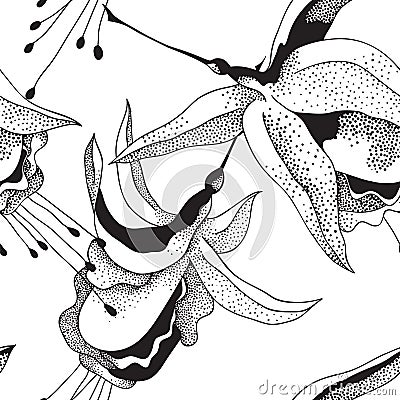 Fuchsia Vector Illustration