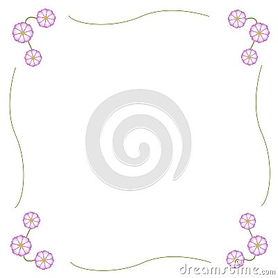 Fuchsia and White Cosmos Flower Frame with Copy Space Stock Photo
