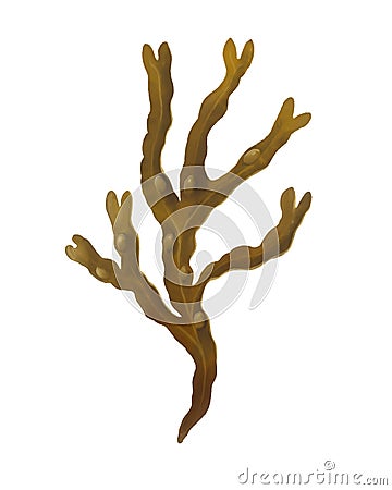 Fucus seaweed Cartoon Illustration