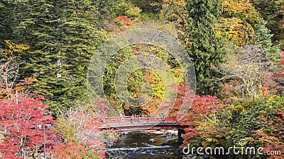 Fudo stream and the red bridge at Mount Nakano-Momiji Editorial Stock Photo