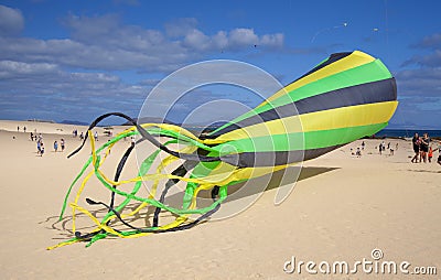 FUERTEVENTURA, SPAIN - NOVEMBER 10: Visitors enjoy beautiful display of flying kites of at 31th International Kite Festival, Editorial Stock Photo