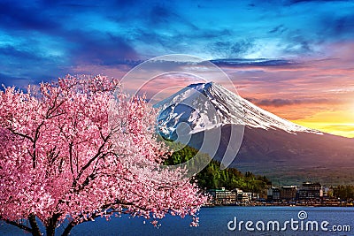 Fuji mountain and cherry blossoms in spring, Japan. Stock Photo