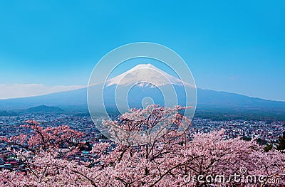 Fuji mountain landsapce. Travel and sightseeing in Japan on holiday. Sakura flower Stock Photo