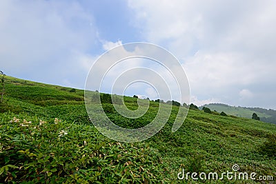 Fujimidai Highland in Nagano/Gifu, Japan Stock Photo