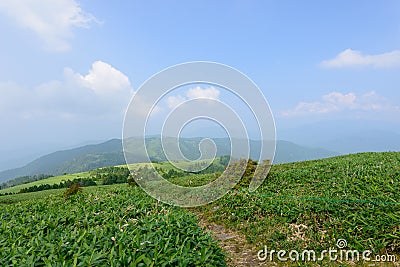 Fujimidai Highland in Nagano/Gifu, Japan Stock Photo