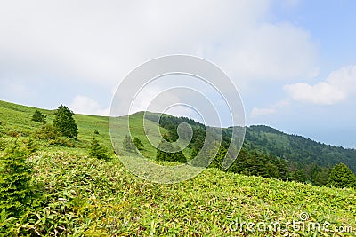 Fujimidai Highland in Nagano/Gifu, Japan Stock Photo