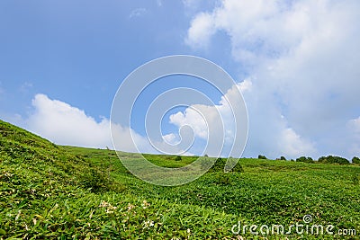 Fujimidai Highland in Nagano/Gifu, Japan Stock Photo