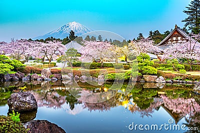 Fujinomiya, Shizuoka, Japan with Mt. Fuji and temples in spring Stock Photo