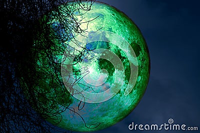 Full beaver moon back silhouette dry tree in night sky Stock Photo