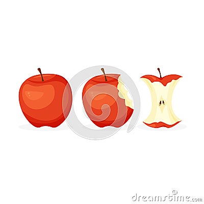 Full, bitten, half of apple and apple peeper. Vector Illustration