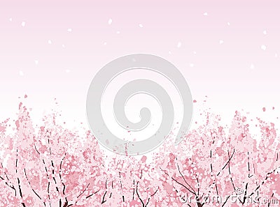 Full bloom of beautiful Cherry blossom trees Vector Illustration