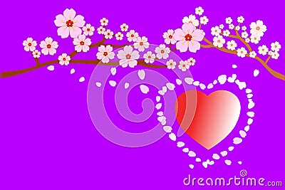 Full bloom cherry blossoms and petals blowing/flying around red heart shape, on purple background. Vector illustration. Vector Illustration
