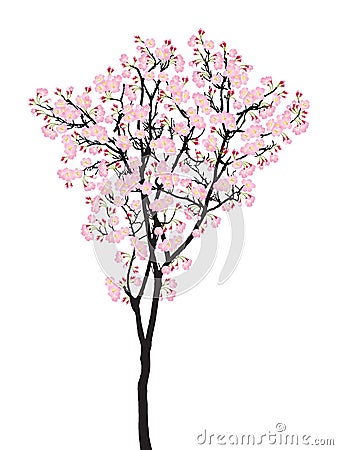 Full bloom pink sakura tree Cherry blossom black wood isolated on white, treetop flower Vector Illustration