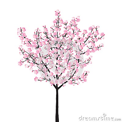 Full bloom pink sakura tree, vintage Cherry blossom black wood isolated on white background, flower branch backdrop. Vector Illustration