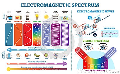 Full Electromagnetic Spectrum Information collection, vector illustration diagram. Physics infographic elements. Vector Illustration