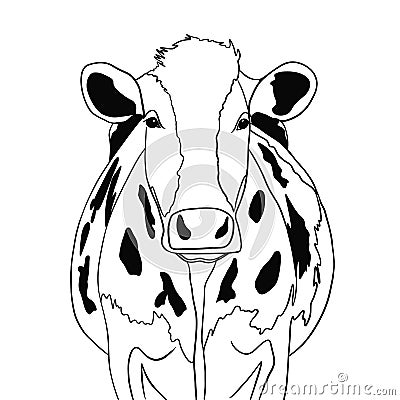Full face of an adult cow in ink on a white background Cartoon Illustration