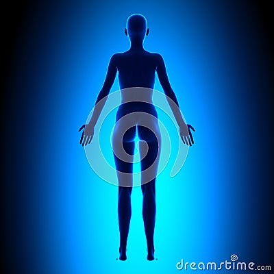Full Female Body - Back View - Blue Concept Stock Illustration - Image ...