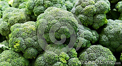 Full frame fresh broccoli sprouts Stock Photo